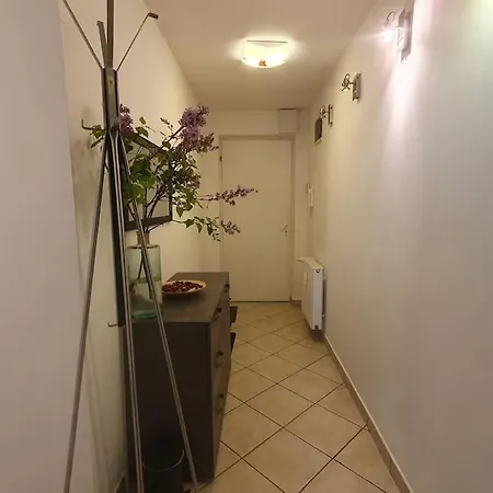 In The Heart Of Downtown Apartment Pécs Exterior photo